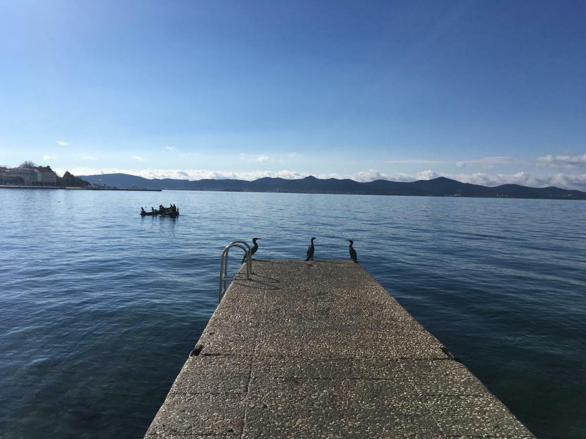 Croatian Home Apartments Zadar Luaran gambar